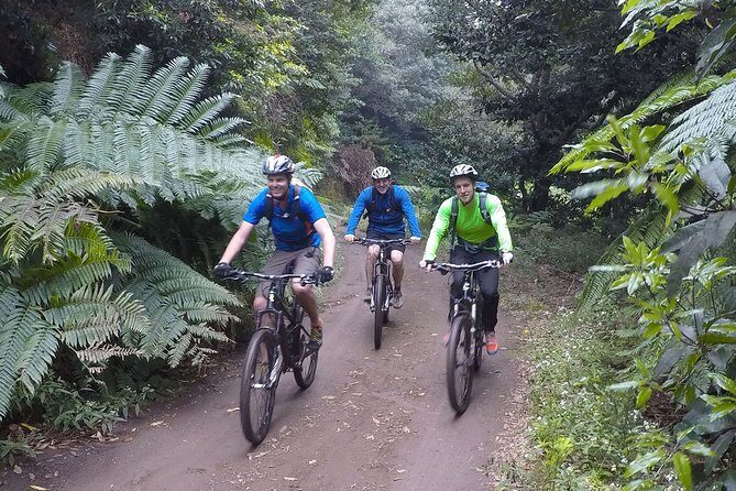 Cross Country - Moutain Bike Tour - Miradouro da Portela: viewpoint breaks plus Natura 2000 trails