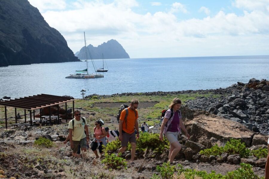 Desertas Islands Full-Day Catamaran Trip from Funchal - Why the Desertas Islands feel wilder than Madeira’s main coast
