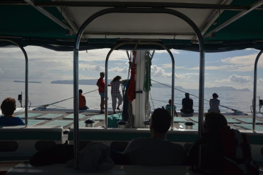 Desertas Islands Full-Day Catamaran Trip from Funchal - The sail out: where whales and dolphins can steal the show