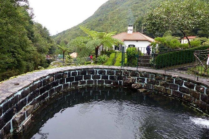 Discover The East - Madeira Island - Ponta de São Lourenço: Native Plants and Wildlife You’ll Miss Alone