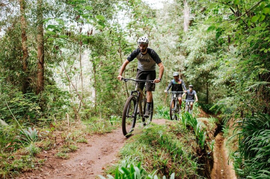 E-Bike Guided Tour - Mountain biking experience - What makes this tour worth your time