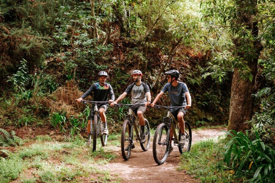 E-Bike Guided Tour - Mountain biking experience - A quick reality check before you book