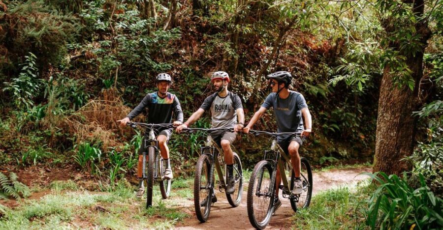 E-Bike Guided Tour - Mountain biking experience - Camacha start: where the ride actually begins