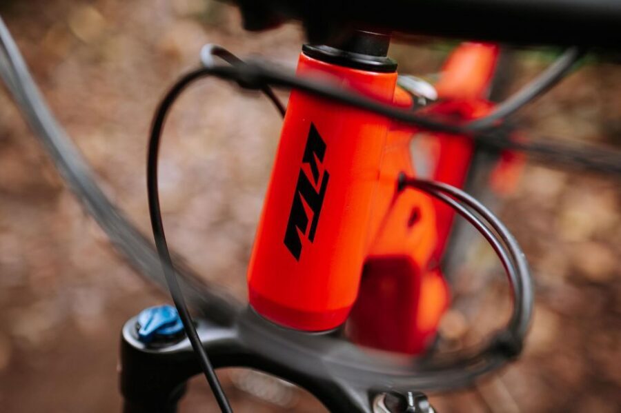 E-Bike Guided Tour - Mountain biking experience - Guides and rider levels: what you should expect