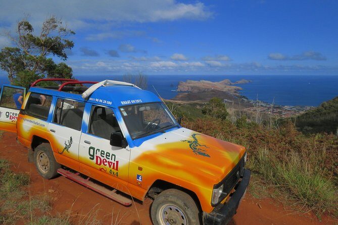 East private full day - Off-Road Adventure and Native Forest Time: Variety Beyond Viewpoints