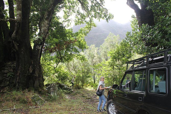 East Tour - 4x4 - Small Group - Miradouro do guindaste, Engenhos do Norte, Ponta do Rosto