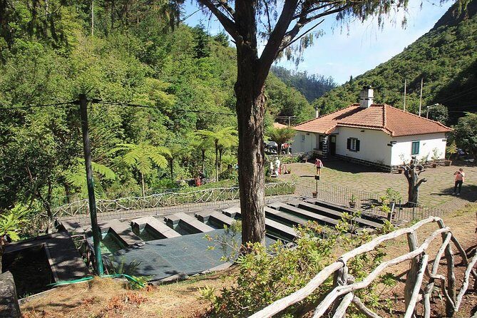 East Tour - Santana - Miradouro da Portela, São Lourenço, and Machico: The East Coast Sweep