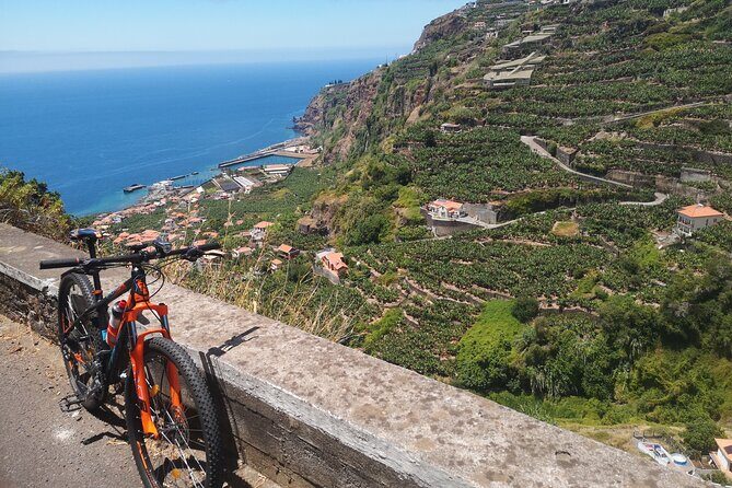 Electric Bike Tour in Northern Madeira - Guide and Group Dynamics: English, Safety, and Local Color