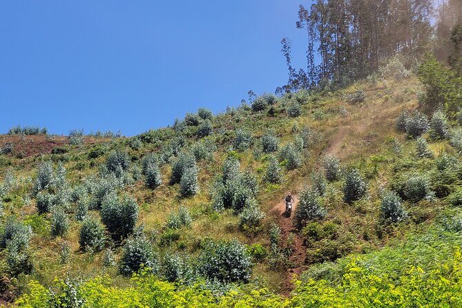Enduro Dirt-Bike Tour - Safety isn’t a lecture here: it’s part of the ride