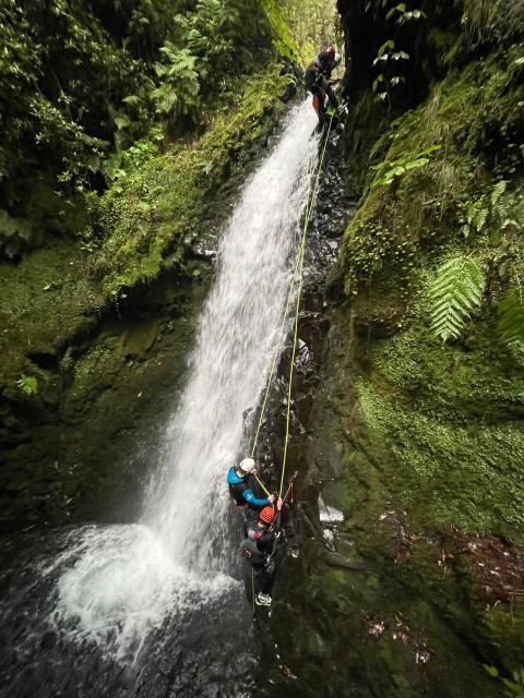 EPIC Madeira Canyoning Level Two - Price and Value: What $97 Actually Covers