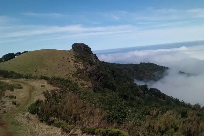 Fanal -Enchanted Forest - Guide time in a private setting: how locals make it click