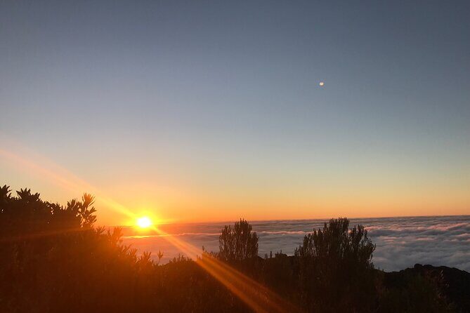 Fanal Forest Private Sunset Hike - Timing: how a 1:30 pickup turns into a 3:00 forest walk