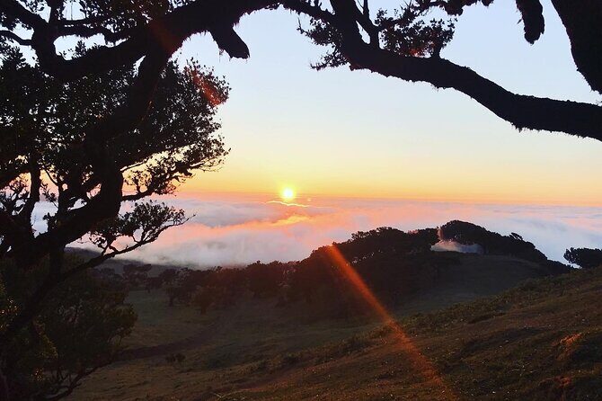 Fanal Forest Private Sunset Hike - Paulo’s private-guide style: photos, patience, and route choices