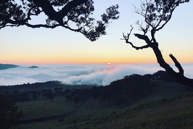 Fanal Forest Private Sunset Hike - Possible extras after the forest: coast stops and local drinks