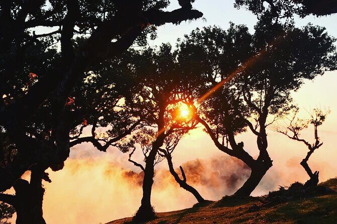 Fanal Forest Private Sunset Hike - The route: 7 km, mostly flat, and still packed with wow