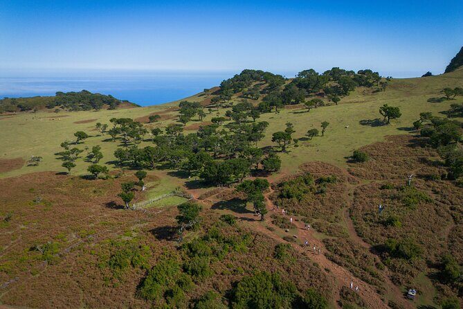 Fanal & Porto Moniz - West Madeira Tour - Eira da Achada Lookout: A Short Stop With a Big View