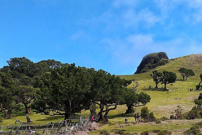 Fascinated Landscapes Northwest 4x4 excursion - Fanal: the stop you’ll remember