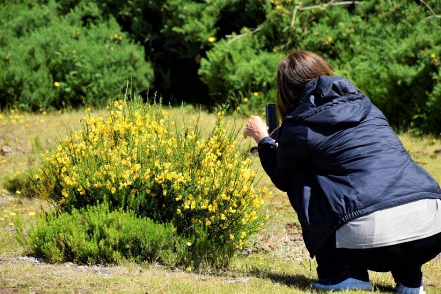 From Funchal: 2-Day Guided Tour of Madeira - Pico Arieiro and Bridal Veil Waterfall: the classic Madeira set pieces