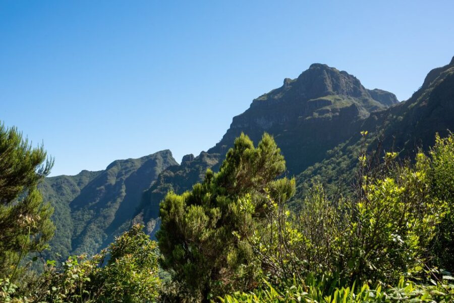 From Funchal: Best of Madeira's West Tour - Seixal and São Vicente: Bridal Veil waterfall to close the west loop