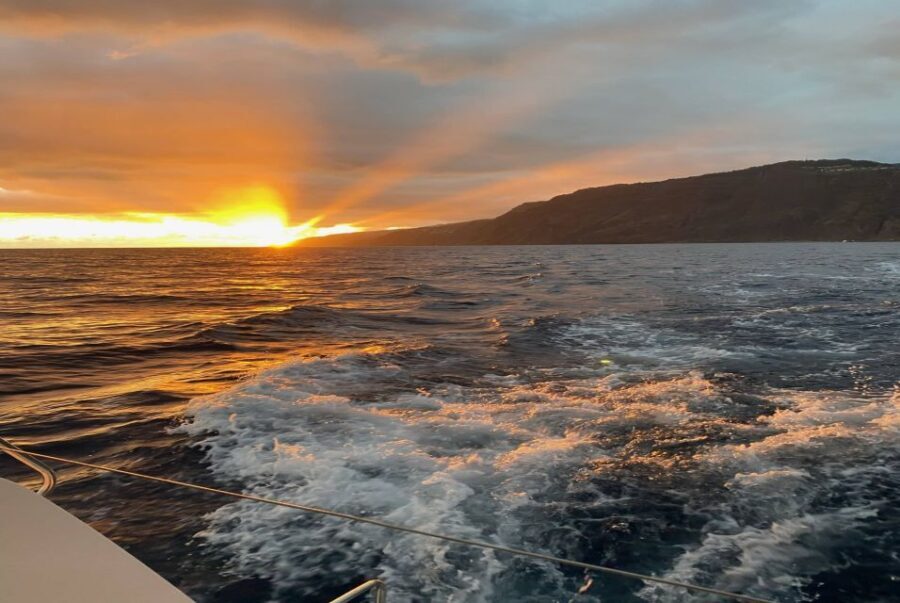 From Funchal: Cabo Girao Sunset Cruise on Luxury Catamaran - Sunset timing: the colors and the calm ride