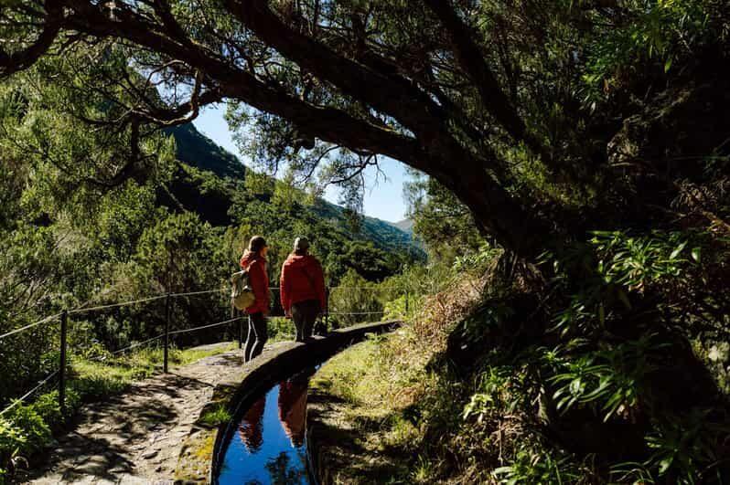 From Funchal/Caniço: Rabaçal Hike (25 Fontes) Bus Transfer - Key things to know before you go