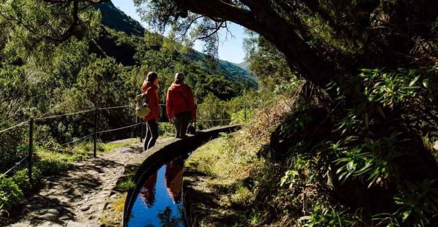 From Funchal/Caniço: Rabaçal Hike (25 Fontes) Bus Transfer - The morning schedule: a 1-hour ride and an around-9:15 arrival