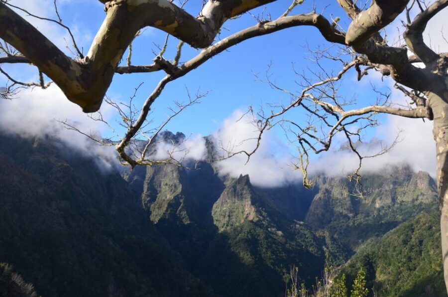 From Funchal: East Tour Madeira 4x4 Jipe Tour Santana Houses - Lombo Galego off-road adventure: the fun part, with real terrain