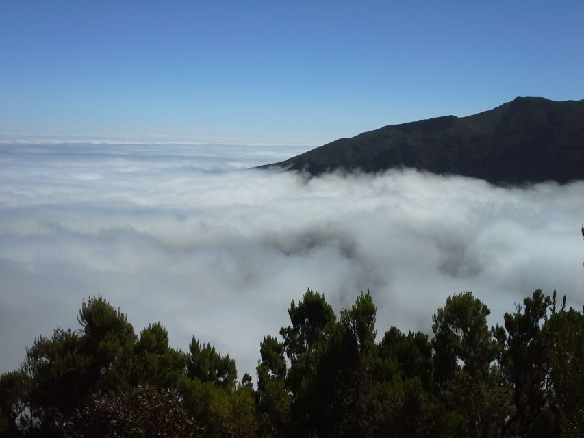 From Funchal: East Tour Madeira 4x4 Jipe Tour Santana Houses - Porto da Cruz and Engenhos do Norte: rum history you can see