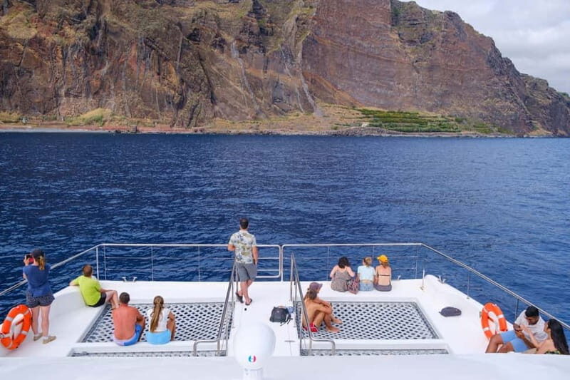From Funchal: Ecological Catamaran Dolphin Whale Watching - What the trip looks like hour by hour (southern coast, spotters, and a swim)