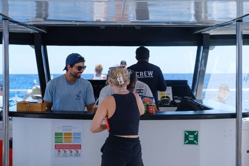 From Funchal: Ecological Catamaran Dolphin Whale Watching - Practical tips so you get more from the ride