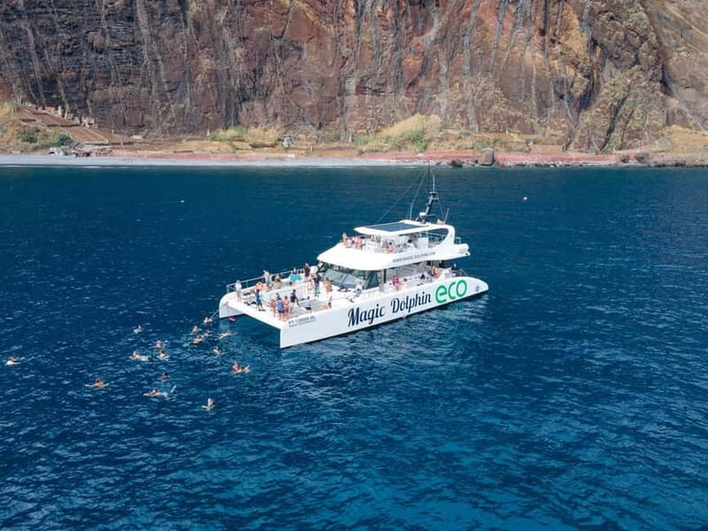From Funchal: Ecological Catamaran Dolphin Whale Watching - Who this tour is perfect for (and who might want a different plan)