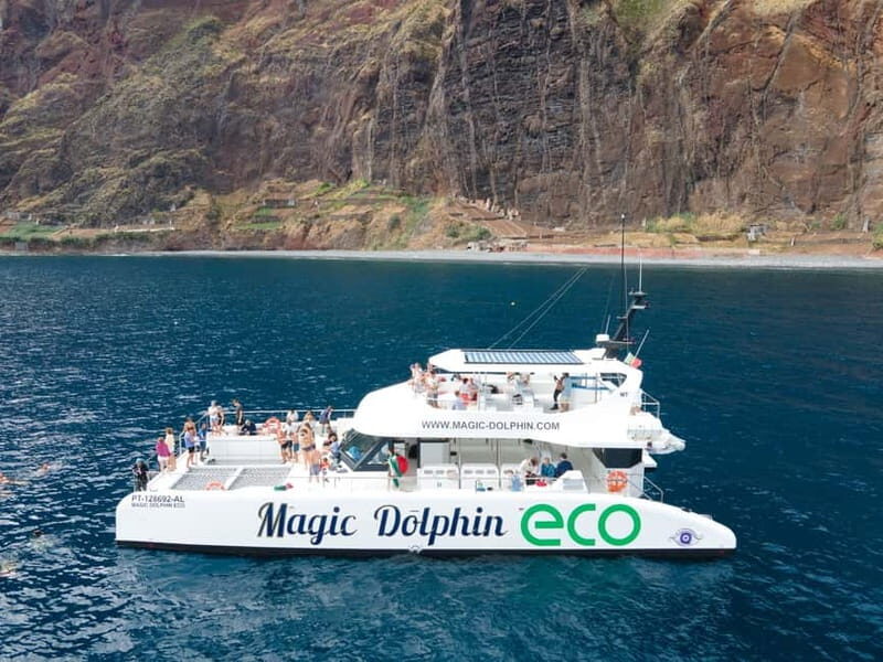 From Funchal: Ecological Catamaran Dolphin Whale Watching - The boat: where you’ll actually watch (and why it helps)