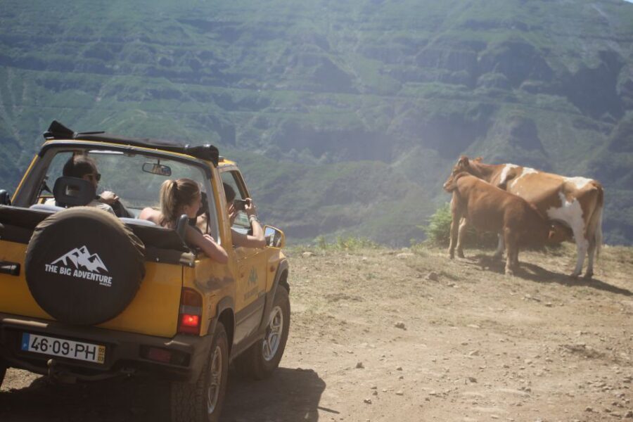 From Funchal: Guided Tour of Madeira Mountains in a Jeep - Madeira Tastes: Wine, Sugarcane Cookies, and Poncha at the Old Bar