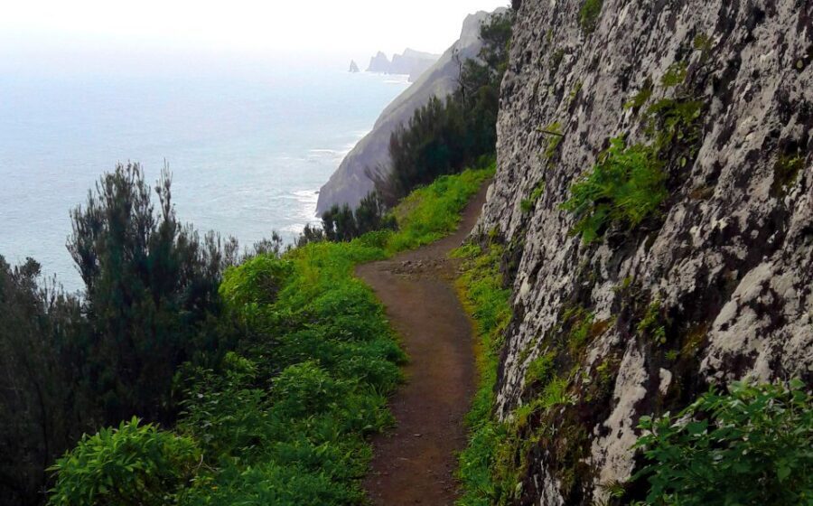 From Funchal: Machico to Porto da Cruz Larano Cliff Hike - Key highlights to know before you go