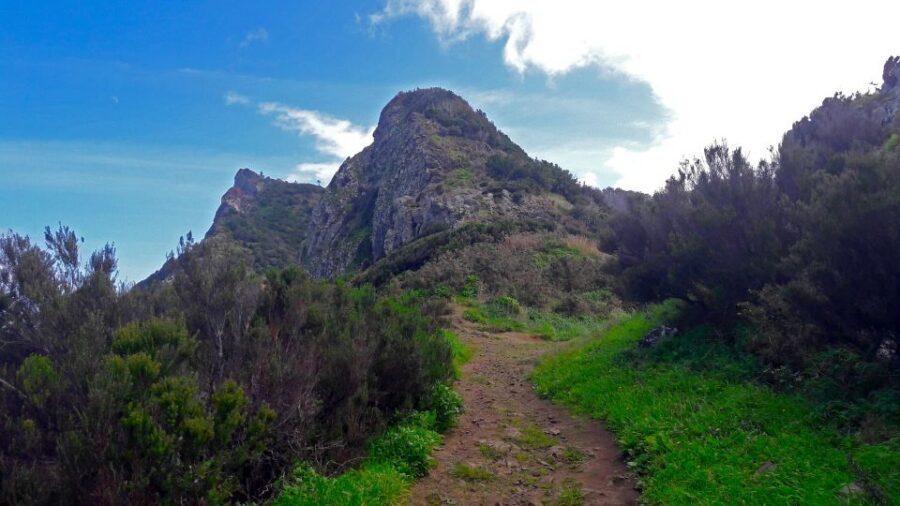 From Funchal: Machico to Porto da Cruz Larano Cliff Hike - Walking the historic line: Machico to Caniçal to Porto da Cruz