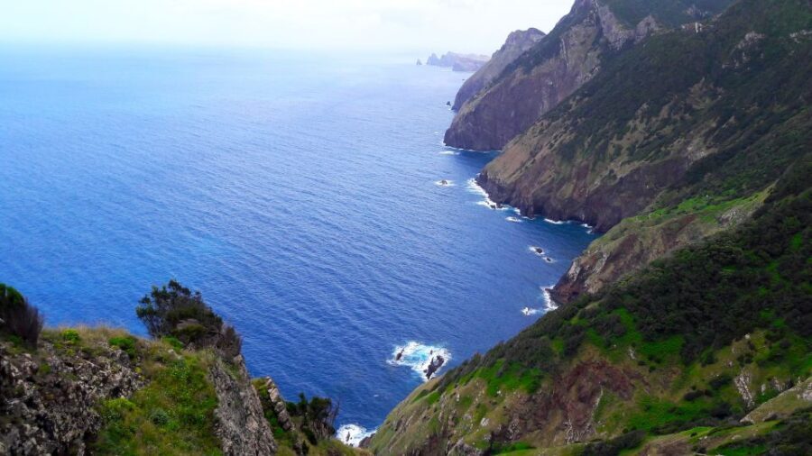 From Funchal: Machico to Porto da Cruz Larano Cliff Hike - What you learn on the trail: plant talk, local history, and real context