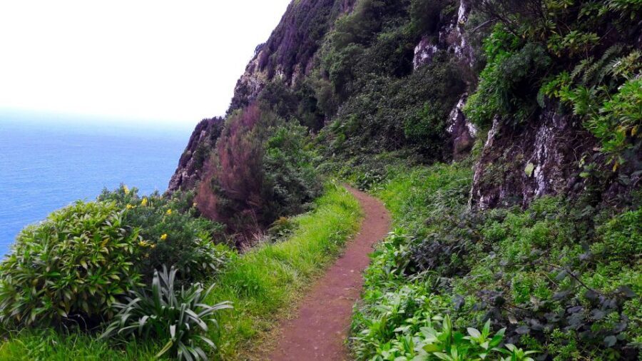 From Funchal: Machico to Porto da Cruz Larano Cliff Hike - Price and value: is $50 a fair deal?