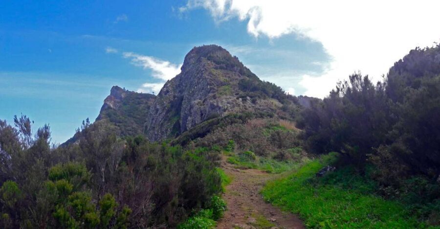 From Funchal: Machico to Porto da Cruz Larano Cliff Hike - Getting from Funchal to Machico: the easy start that matters