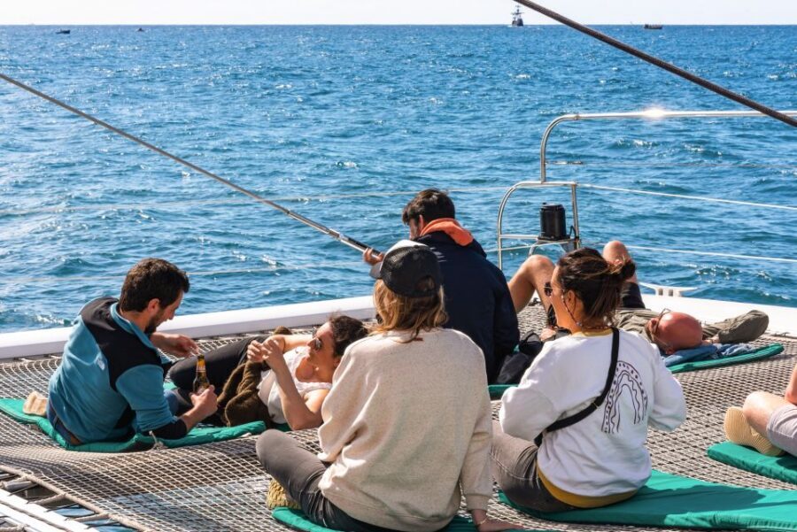 From Funchal: Madeira Dolphin and Whale Watching Tour - Onboard comfort on a Madeira catamaran: nets, toilets, and a bar for snacks