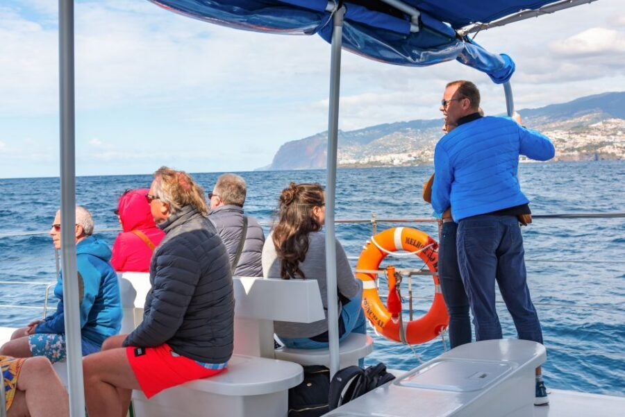 From Funchal: Madeira Dolphin and Whale Watching Tour - The free second tour deal: how to think about your odds