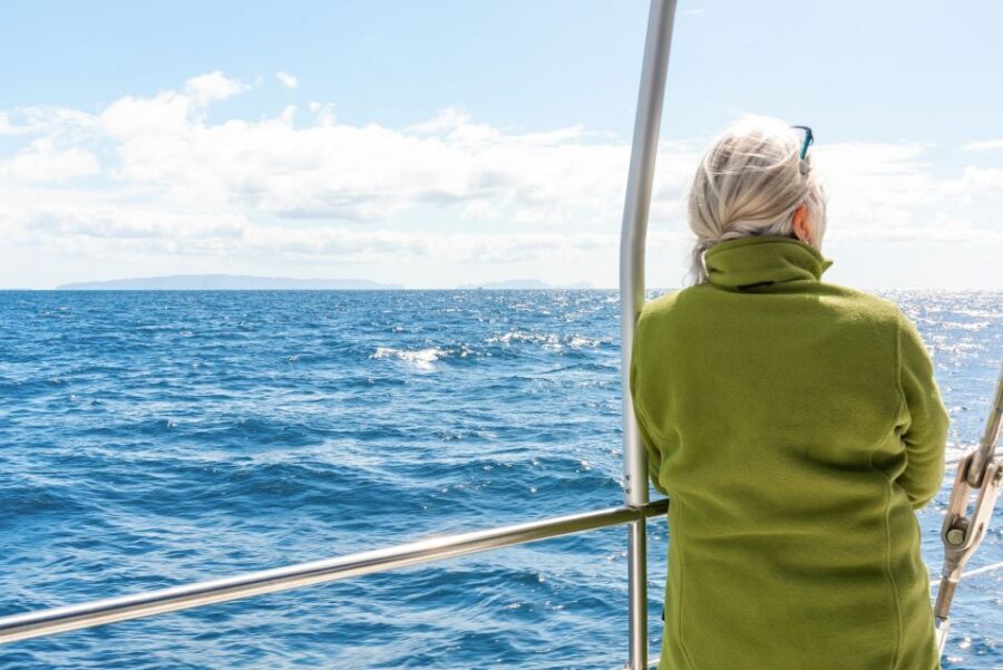 From Funchal: Madeira Dolphin and Whale Watching Tour - Spotting dolphins and whales off Funchal: what the crew actually does