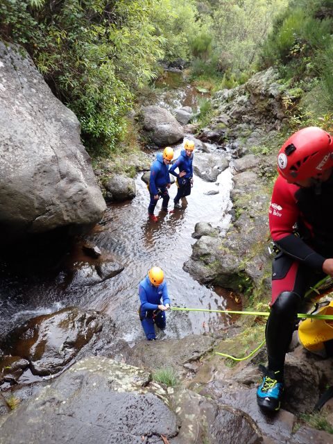 From Funchal: Madeira Island Canyoning for Beginners - Duration and Pace: What 4 Hours Really Means