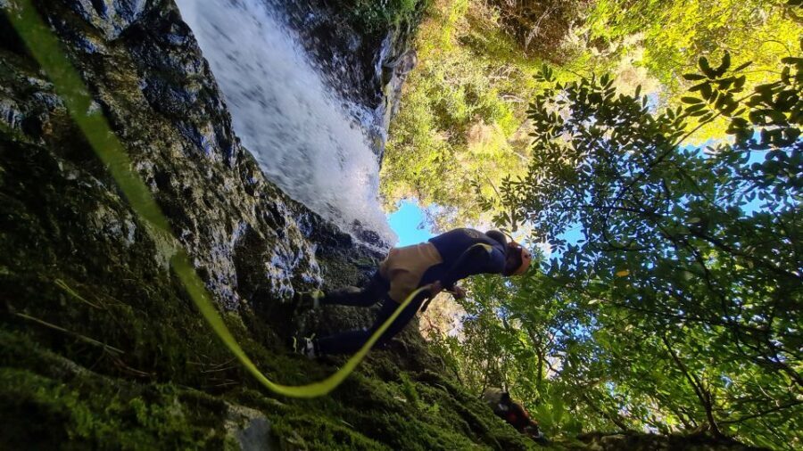 From Funchal: Madeira Island Canyoning for Beginners - Price and Value: Is $82 Worth It?