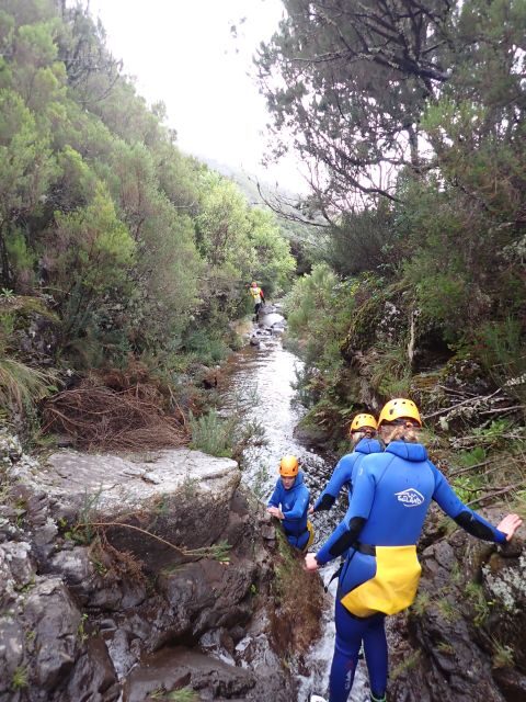From Funchal: Madeira Island Canyoning for Beginners - Weather, Water, and What to Expect With Rain or Shine