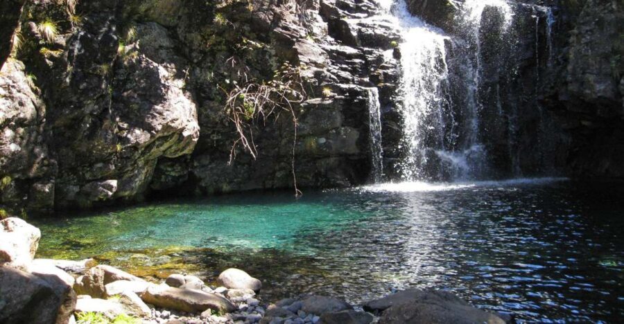 From Funchal: Madeira Lakes Levada Guided Hike - Following the Levada Do Alecrim: Madeira’s Water Through the Trees
