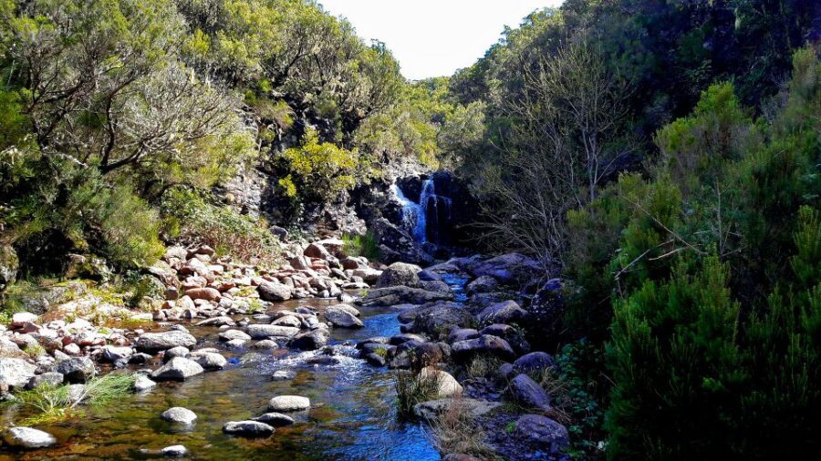 From Funchal: Madeira Lakes Levada Guided Hike - Is $50 Good Value for This 8-Hour Guided Hike?