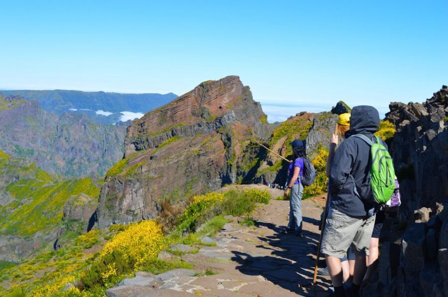 From Funchal: Madeira Peaks Mountain Walk - Key highlights you’ll feel on day one