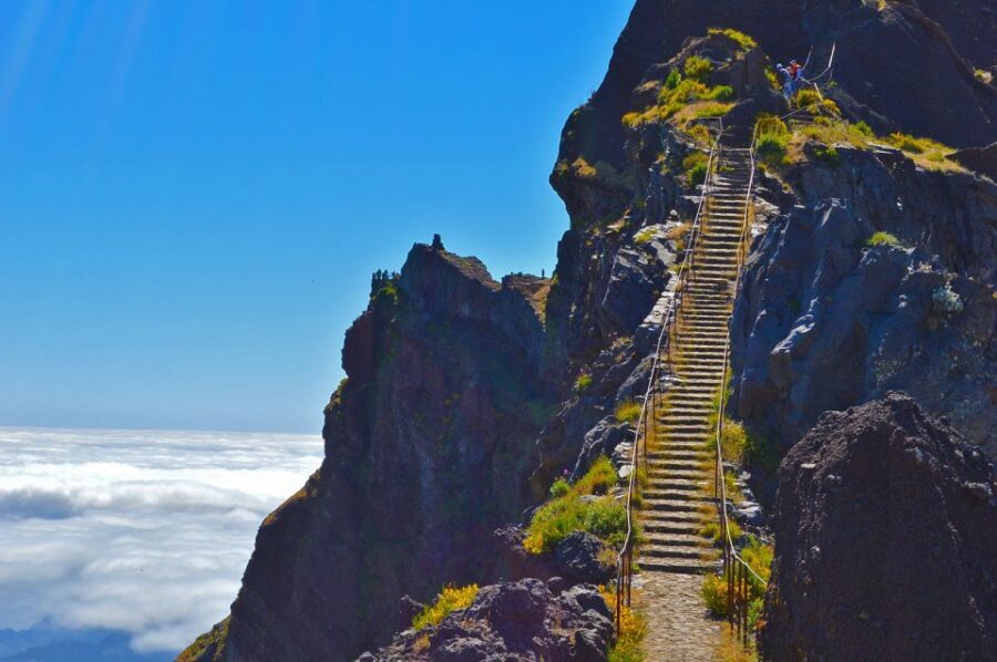 From Funchal: Madeira Peaks Mountain Walk - What the hike feels like: steps, uneven ground, and pacing that saves you