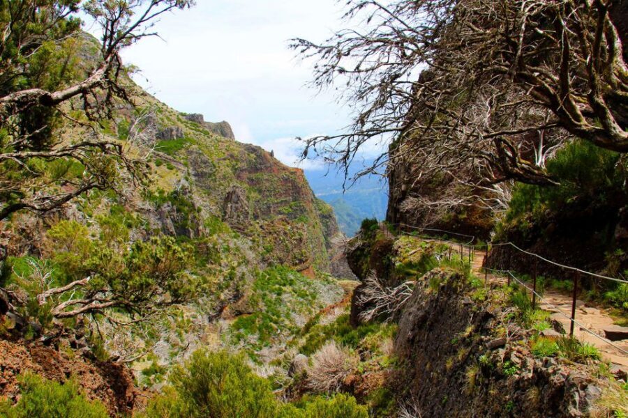 From Funchal: Madeira Peaks Mountain Walk - Midday reality: your lunch plan and the summit break