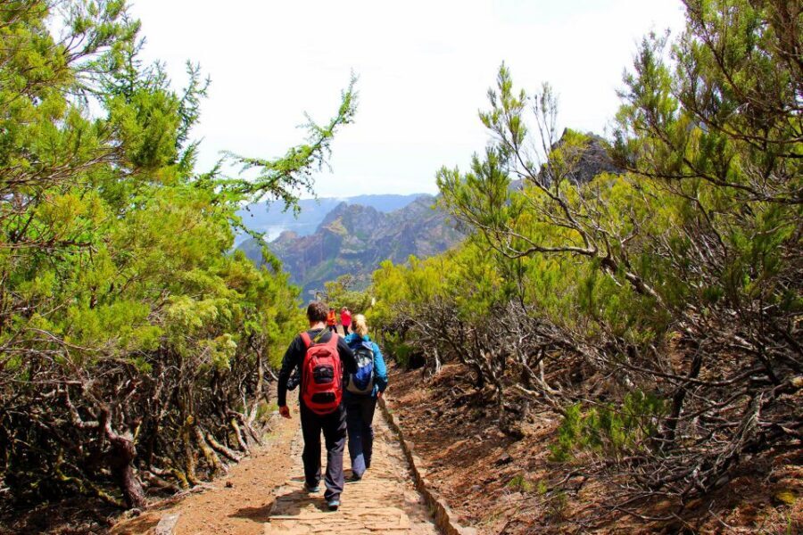 From Funchal: Madeira Peaks Mountain Walk - Weather can change the plan: what to do if Pico Ruivo is socked in